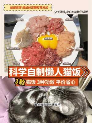 猫饭怎么食用（猫饭怎么做营养均衡）